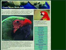 Tablet Screenshot of costaricanbirds.com